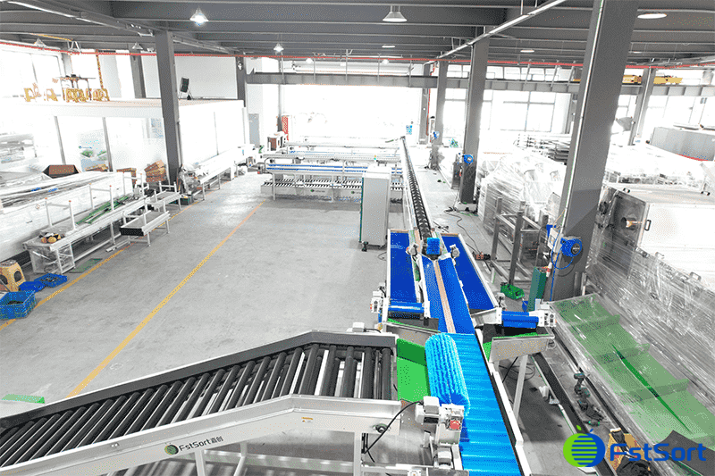 images/1747387315009Melon packing line.png